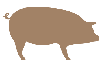 pork